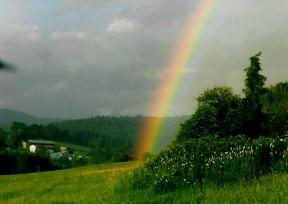 image890